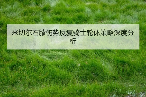 mi-qie-er-you-xi-shang-shi-fan-fu-qi-shi-lun-xiu-ce-lve-shen-du-fen-xi-2-256.jpg
